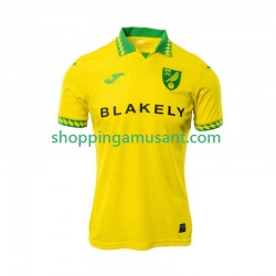 Maillot de Foot Norwich City Homme Domicile 2025-2026 Manche Courte