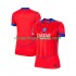 Maillot de Foot Paris Saint-Germain Féminine Neutre 2025-2026 Manche Courte