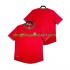 Maillot de Foot Portugal 2012 Rétro Homme Domicile Manche Courte