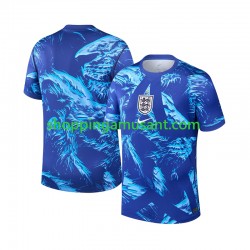 Maillot de Foot Angleterre Gardien Homme Neutre Coupe du Monde 2026 Manche Courte