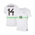 Maillot de Foot Norvège Julian Ryerson 14 Homme Neutre Coupe du Monde 2026 Manche Courte