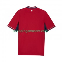 Maillot de Foot Tchéquie Homme Domicile 2026 Manche Courte