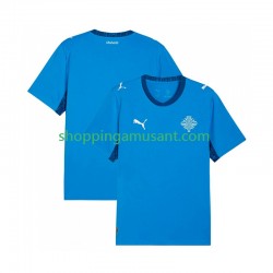 Maillot de Foot Islande Homme Domicile 2026 Manche Courte