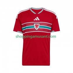 Maillot de Foot Pays de Galles Homme Domicile 2026 Manche Courte