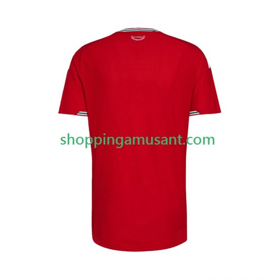 Maillot de Foot Pays de Galles Homme Domicile 2026 Manche Courte