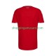 Maillot de Foot Pays de Galles Homme Domicile 2026 Manche Courte