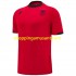 Maillot de Foot Albanie Homme Domicile 2025 Manche Courte