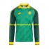 Maillot de Foot Celtic Special Homme Domicile 2024 Manche Longue