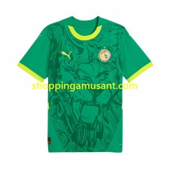 Maillot de Foot Sénégal Homme Extérieur 2025 Manche Courte