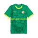 Maillot de Foot Sénégal Homme Extérieur 2025 Manche Courte