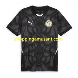 Maillot de Foot Sénégal Gardien Homme Extérieur 2025 Manche Courte