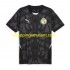 Maillot de Foot Sénégal Gardien Homme Extérieur 2025 Manche Courte