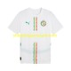 Maillot de Foot Sénégal Homme Domicile 2025 Manche Courte