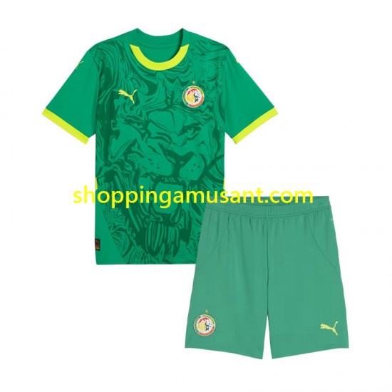Maillot de Foot Sénégal Enfant Extérieur 2025 Manche Courte