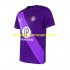 Maillot de Foot Toulouse FC Homme Domicile 2024-2025 Manche Courte