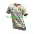 Maillot de Foot Cameroun Homme Extérieur 2026 Manche Courte