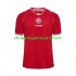 Maillot de Foot Danemark Homme Domicile 2026 Manche Courte