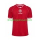 Maillot de Foot Danemark Homme Domicile 2026 Manche Courte
