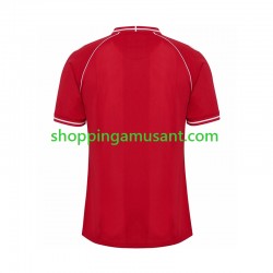 Maillot de Foot Danemark Homme Domicile 2026 Manche Courte