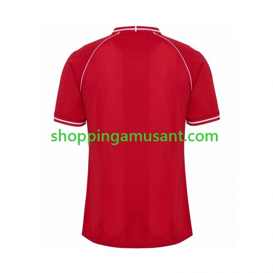 Maillot de Foot Danemark Homme Domicile 2026 Manche Courte
