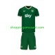 Maillot de Foot Irlande Enfant Domicile 2026 Manche Courte