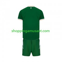 Maillot de Foot Irlande Enfant Domicile 2026 Manche Courte