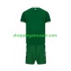Maillot de Foot Irlande Enfant Domicile 2026 Manche Courte