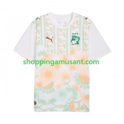 Maillot de Foot Côte d'Ivoire Homme Extérieur Coupe du Monde 2026 Manche Courte