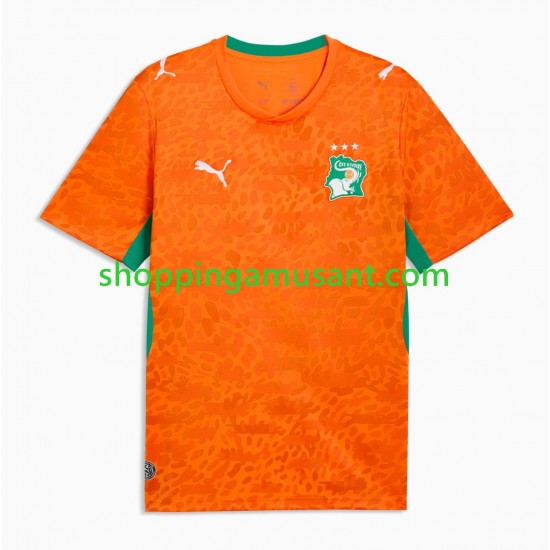 Maillot de Foot Côte d'Ivoire Homme Domicile Coupe du Monde 2026 Manche Courte