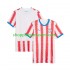 Maillot de Foot Paraguay Homme Domicile Coupe du Monde 2026 Manche Courte
