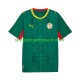 Maillot de Foot Sénégal Homme Extérieur 2026 2027 Manche Courte