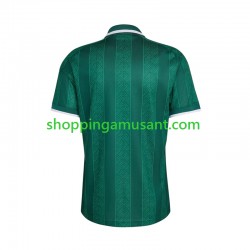 Maillot de Foot Afrique Du Sud Homme Extérieur Coupe du Monde 2026 Manche Courte
