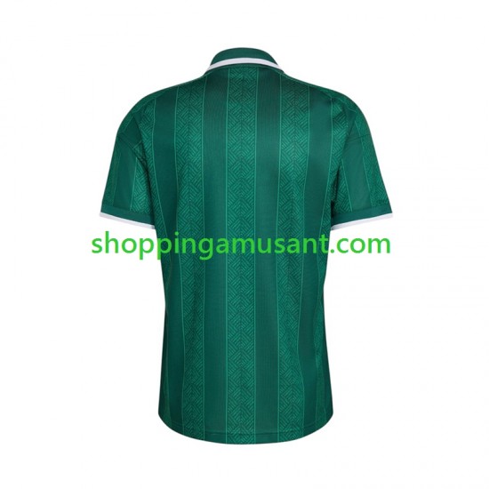 Maillot de Foot Afrique Du Sud Homme Extérieur Coupe du Monde 2026 Manche Courte