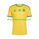 Maillot de Foot Afrique Du Sud Homme Domicile Coupe du Monde 2026 Manche Courte