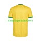 Maillot de Foot Afrique Du Sud Homme Domicile Coupe du Monde 2026 Manche Courte