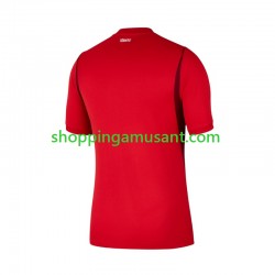 Maillot de Foot Turquie Homme Domicile 2026 2027 Manche Courte