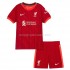 Maillot de Foot Liverpool Enfant Domicile 2021-2022 Manche Courte