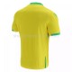 Maillot de Foot Nantes Domicile 2021-2022 Manche Courte
