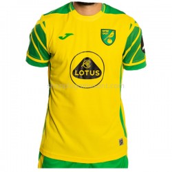 Maillot de Foot Norwich City Domicile 2021-2022 Manche Courte