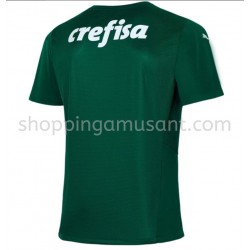 Maillot de Foot Palmeiras Domicile 2021-2022 Manche Courte