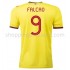 Maillot de Foot Colombie Falcao 9 Domicile 2020-2021 Manche Courte