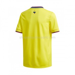 Maillot de Foot Colombie Domicile 2020-2021 Manche Courte