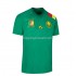 Maillot de Foot Cameroun Hjemmebane Domicile Coupe du Monde 2022 Manche Courte