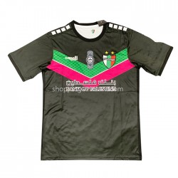 Maillot de Foot Club Deportivo Palestino Extérieur 2022-2023 Manche Courte