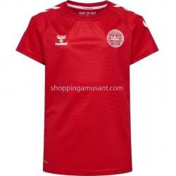 Maillot de Foot Danemark Féminine Domicile 2022 Manche Courte