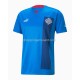Maillot de Foot Islande Domicile 2022 Manche Courte