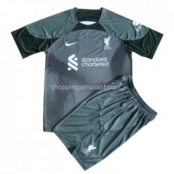 Maillot de Foot Liverpool Enfant Extérieur 2022-2023 Manche Courte
