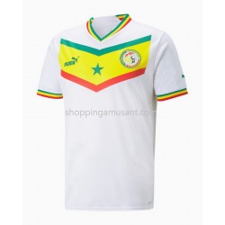 Maillot de Foot Sénégal Domicile Coupe du Monde 2022 Manche Courte