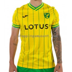 Maillot de Foot Norwich City Homme Domicile 2022-2023 Manche Courte