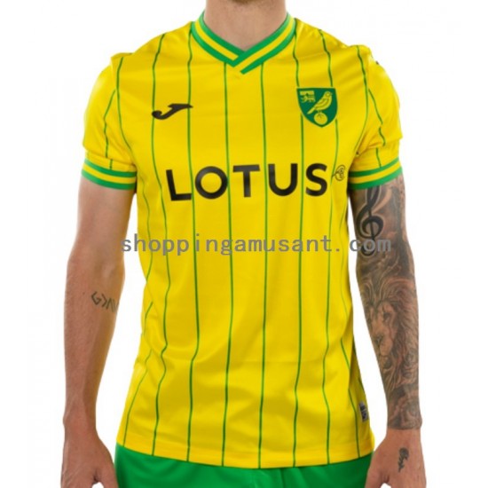 Maillot de Foot Norwich City Homme Domicile 2022-2023 Manche Courte